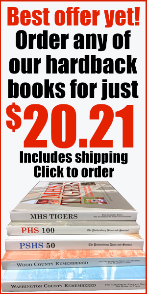 widgetWEBbookforpaper